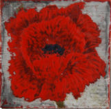 Poppies_Field of Rememberance #6